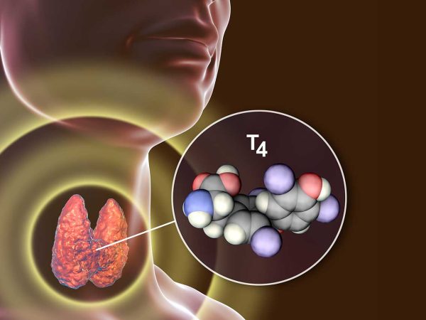 zyklisches-peptid Dr_Microbe