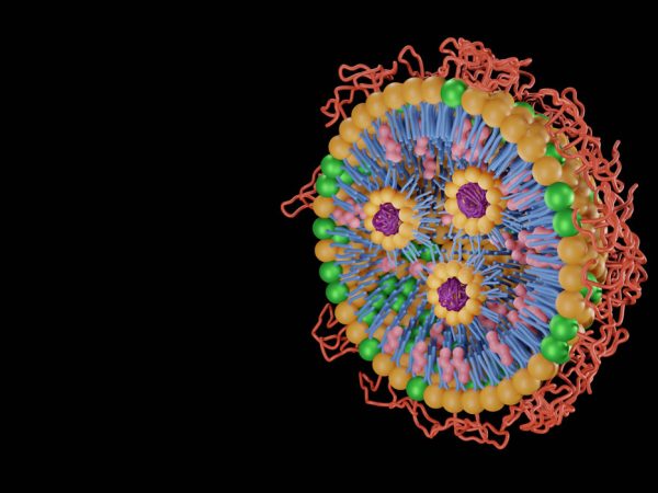 isar-bioscience-millionen-foerderung-rna isar-bioscience-millionen-foerderung-rna