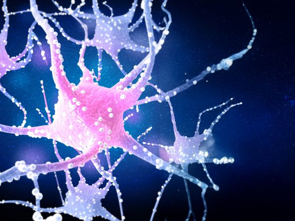 isar-bioscience-alzheimer-antikoerper isar-bioscience-alzheimer-antikoerper