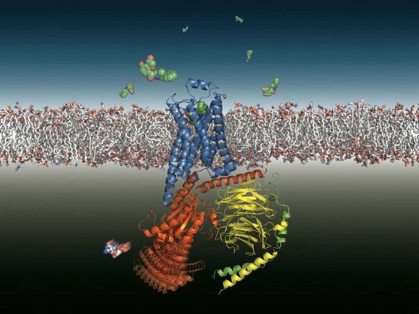 stem-cell-lecture stem-cell-lecture